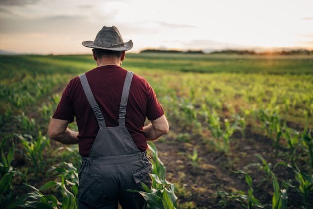 agriculteur marchant de dos dans un champ