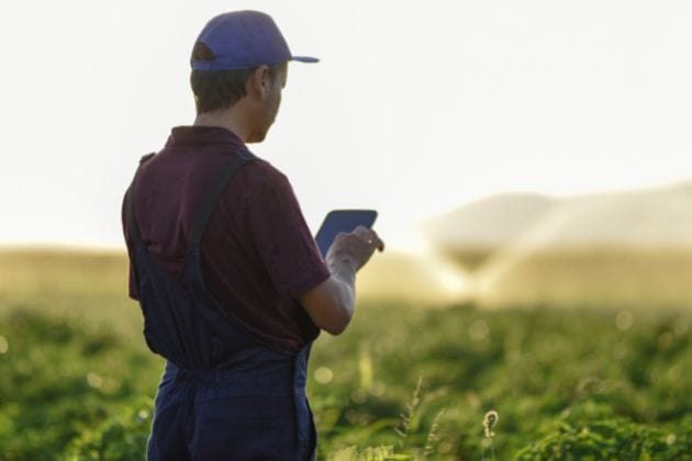 Agriculteur de dos dans un champ, une tablette dans la main.