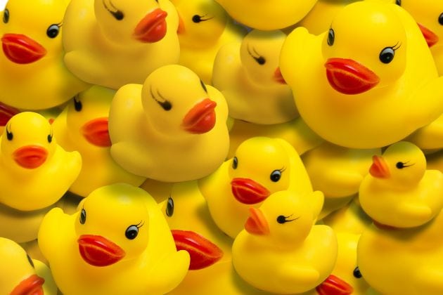 Une multitude de canard en plastique jaune.