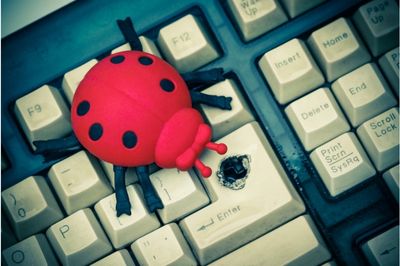 coccinelle en plastique sur les touches d'un clavier d'ordinateur