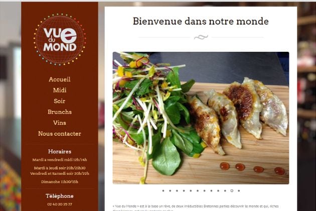 Copie d'écran du site Vue du monde réalisé par l'agence Oniti à Nantes.