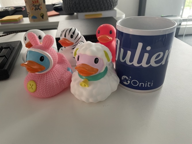 rubber duck sur le bureau de Julien d'Oniti